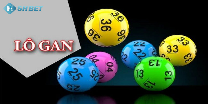 Banner www.phcons.net.vn