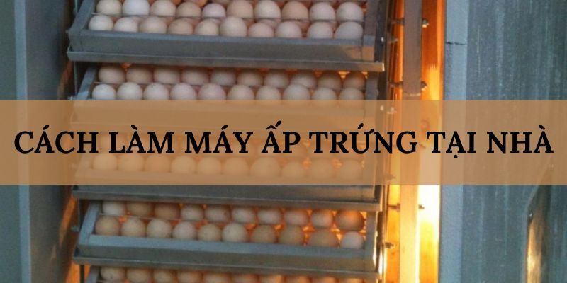 Banner www.phcons.net.vn