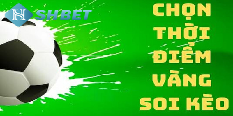 Banner www.phcons.net.vn