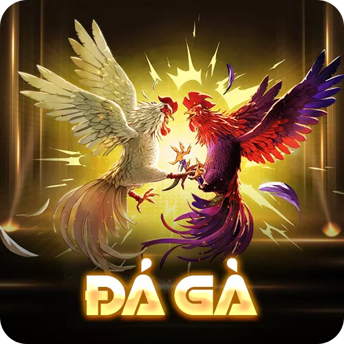 Banner www.phcons.net.vn