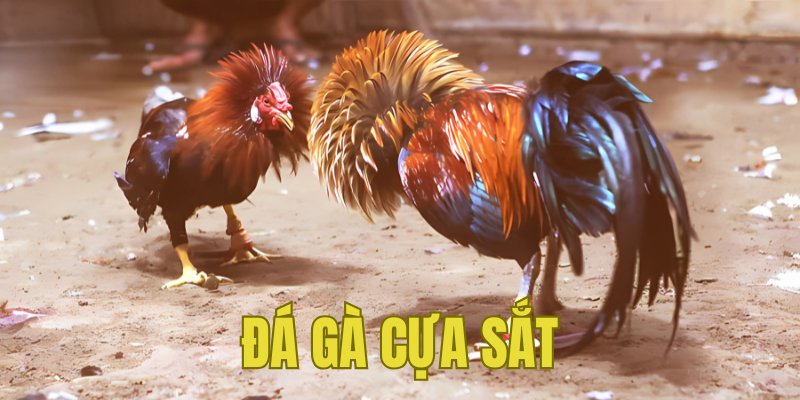 Banner www.phcons.net.vn