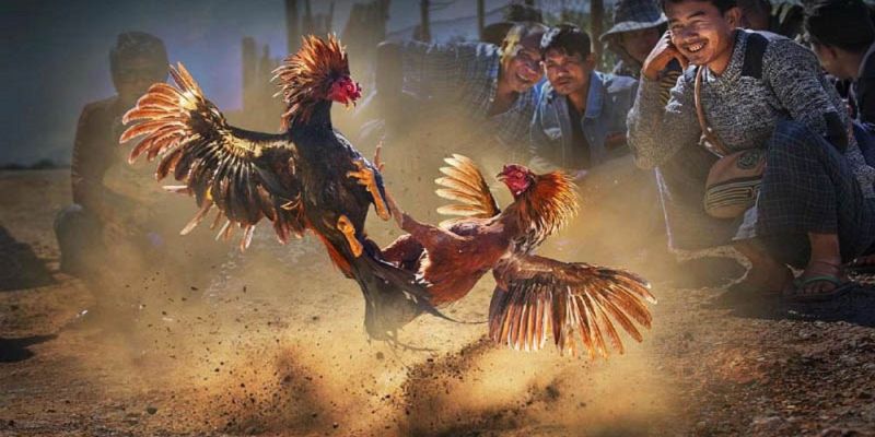 Banner www.phcons.net.vn