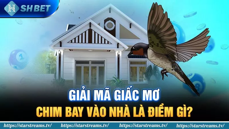 Banner www.phcons.net.vn