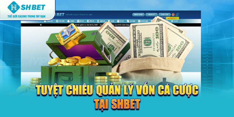 Banner www.phcons.net.vn